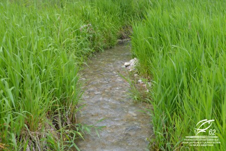 Restauration écologique du Ruisseau des...